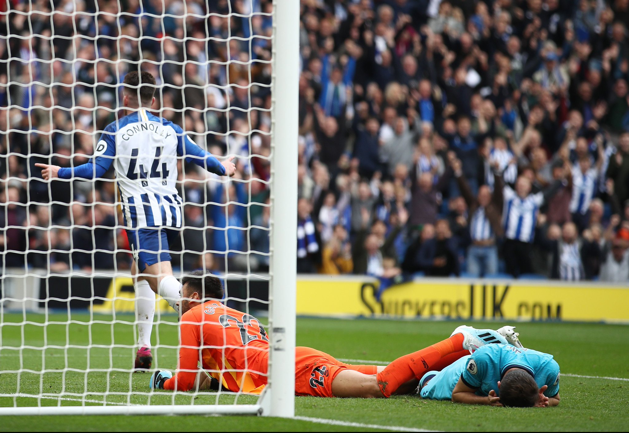 着协调者的 着协调者的